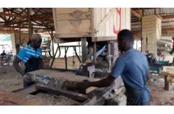 China Wood cutting Vertical Band Saw Machine with Log Carriage & Working Foundation supplier