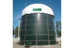 China Bio Digester Biogas Production Project Bio Gas Plant Installation supplier