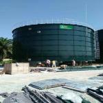1 MW Biogas Power Plant Anaerobic Reactor Renewable Energy Plants for sale