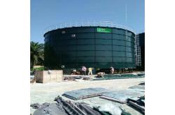 China 800m3 Anaerobic Digester Tank CSTR Advanced Waste Digester Biogas Tank supplier