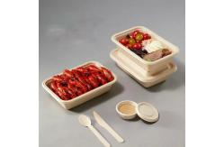 China Disposable Compostable Biodegradable Take Out Fast Food Packaging Takeaway Container Paper Boxes supplier
