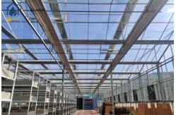 China Hydroponic Transparent Glass Greenhouse For Plants With Ventilation Cooling System supplier
