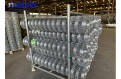 China Easily Assembled Hot Dipped Galvanized Garden Fence Waterproof supplier