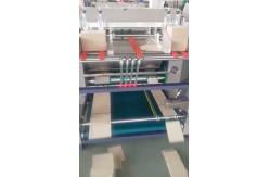 China Advanced 3.5kW Automated Packaging Solution with PLC And Touch Screen Control System supplier