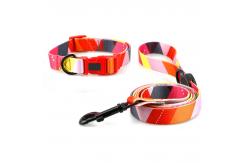 China Wear Resistant Pet Collars Leashes S M L Adjustable 30cm Dog Collar supplier