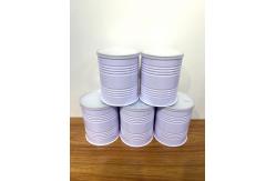 China Durable Custom Tin Cans Packaging For Biscuit Cosmetic Promotion supplier