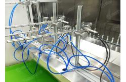China Elevate Production with the High-Efficiency Automatic Spray Painting Line supplier