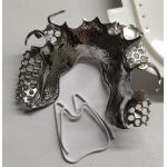 Maxillary Arch Co Cr Alloy Partial Denture Metal Framework