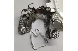China Maxillary Arch Co Cr Alloy Partial Denture Metal Framework supplier