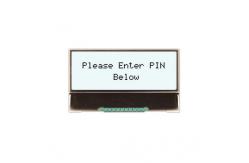 China NHD-C0216CZ-FSW-FBW-3V3 supplier