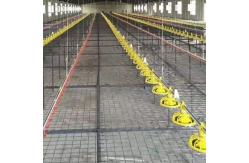 China 22ton 220V Auger Automatic Pan Feeding System Shed supplier
