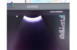 China S2000 S3000 6C1-HD Ultrasound Transducer Probe supplier