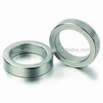 Professional Customized Rare Earth Super Strong Neodymium Ring Magnet for sale