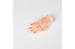 China 13cm Hand Acupuncture Point Model Chinese Acupuncture Teaching Model PVC supplier