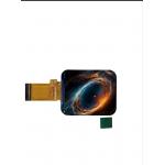 IPS TFT LCD Display Brightness 600cd/M2 1.69 Inch 240XRGBX280 Resolution Lcd Display for sale