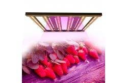 China Full Spectrum 480w 400w Dimmable LED Grow Lights supplier