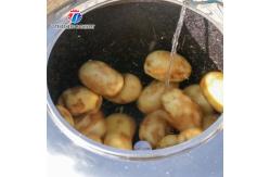 China Desktop Fruit And Vegetable Peeler Machine Potato Barrel Peeling Equipment supplier