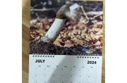China Custom Wall Calendar Stand Out With Personalization And Durable Spiral Binding supplier