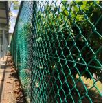 Green Galvanized Plastic Coated 6 Gauge Chain Link Fence 10 Foot for sale