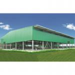 Q235 Q345 Customized Design JIS Steel Construction Warehouse for sale