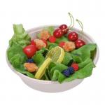 OEM Disposable Sustainable Compostable Eco Products  32 Oz Sugarcane Bowl for sale