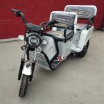 30-50Km/H Leisure Electric Tricycle For Home Use 4 Passengers for sale