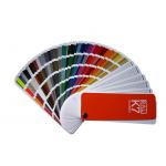 RAL Color Swatches Paint Type Environmental Friendly Materials for sale