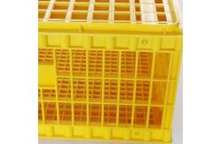 China Poultry Broiler Quail Pigeon Plastic Chicken Transport Cages supplier