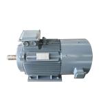 Renewable Energy Permanent Magnet AC Alternator IP54 IP55 No Pollution for sale
