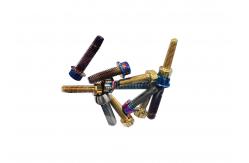 China Flange Flower Head Titanium Cycle Disc Roter Bolt Button Head Torx Drive supplier