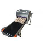 Printer Ink Cartridge /  Eco Solvent Egg Label Printer / Continuous Printing Tray Egg Machine for sale
