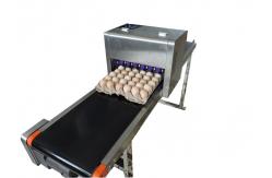 China Printer Ink Cartridge /  Eco Solvent Egg Label Printer / Continuous Printing Tray Egg Machine supplier