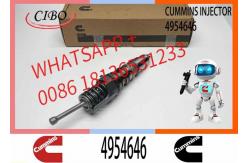China Remanufactured High Quality Common Rail Diesel Fuel Injector 4954645 4954646 supplier