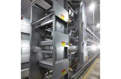 China 45 Days 4 Floors H Frame Broiler Chicken Cage With Automatic Feeder supplier