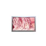 AA121SK26 12.1 inch 800*600 LCD panel tft lcd display module for sale