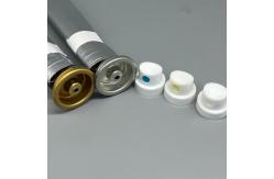 China Reliable Female Bag On Valve for Aerosol Canisters with Easy Dispensing Control supplier