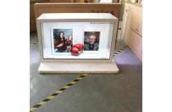 China Industrial Transparent Display Box , Environmental Small Transparent Display supplier