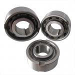 China Quality equivalent to Stieber or C.T.S ASNU90/USNU100 series ratchet ramp roller type one way clutch for sale