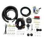 Four Cylinder Car Petrol To LPG Conversion Kit For Sequential Injection System for sale