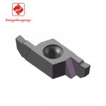 SGR060615-R10 CNC Cutting Inserts Customization For Injection Mold for sale