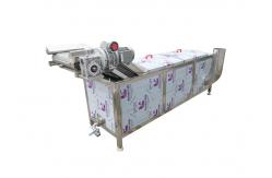 China 300kg/h 2.95kw Raspberry Vegetable Blanching Machine supplier