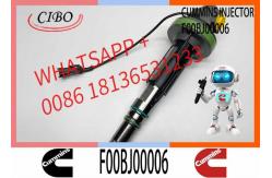 China QSK38 QSK50 QSK60 Fuel Injector F00BJ00006 2881088 0986435615 Diesel Injector supplier
