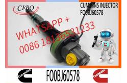 China Fuel Injector Assembly Y431K05246 FO0BJ60578 FOOBJ60783 1000019903 For Qsk19 Engine supplier