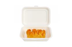 China Customized biodegradable fast food burger box supplier