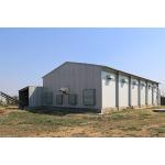Pre Engineered Steel Chicken House Q355B Sqaure Tube And H Section for sale