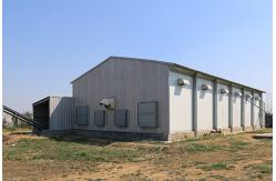 China Pre Engineered Steel Chicken House Q355B Sqaure Tube And H Section supplier
