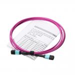 OM4 24 Core MPO Fiber Patch Cord Multimode Trunk Cable for sale