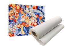 China Glossy Polyester Canvas Roll For Eco Solvent Wide Format Printers supplier