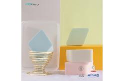 China 4Pcs Makeup Sponge Blender Set Foundation Blender Sponge With PVC Case supplier