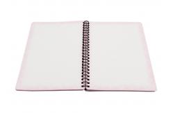 China Notebook Printing Princess Hard Cover grating printing spiral bound book printing service supplier
